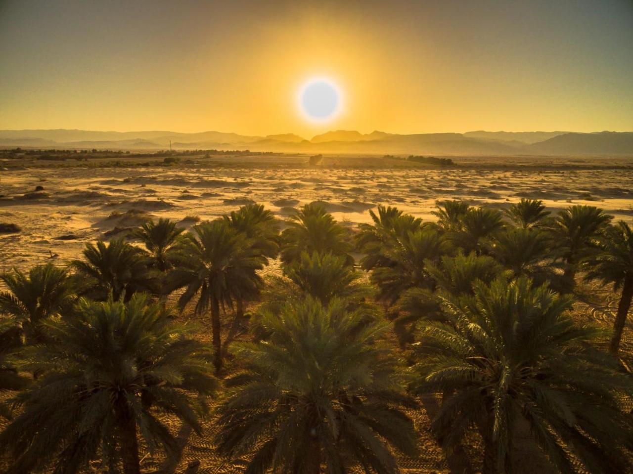 Lotan Desert Travel Hotel Nahal Ya'alon Экстерьер фото