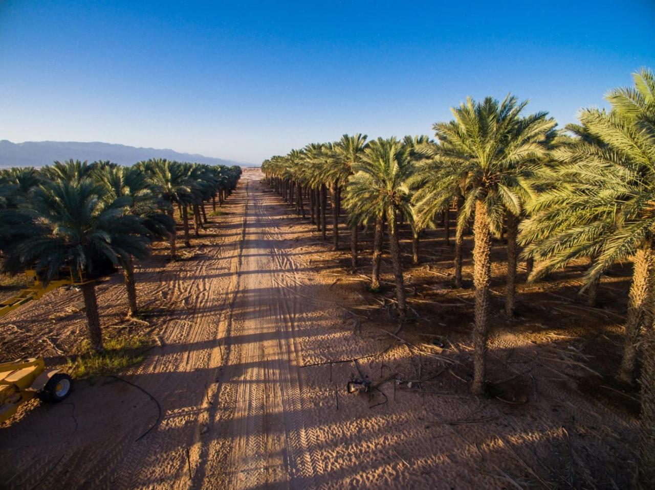 Lotan Desert Travel Hotel Nahal Ya'alon Экстерьер фото